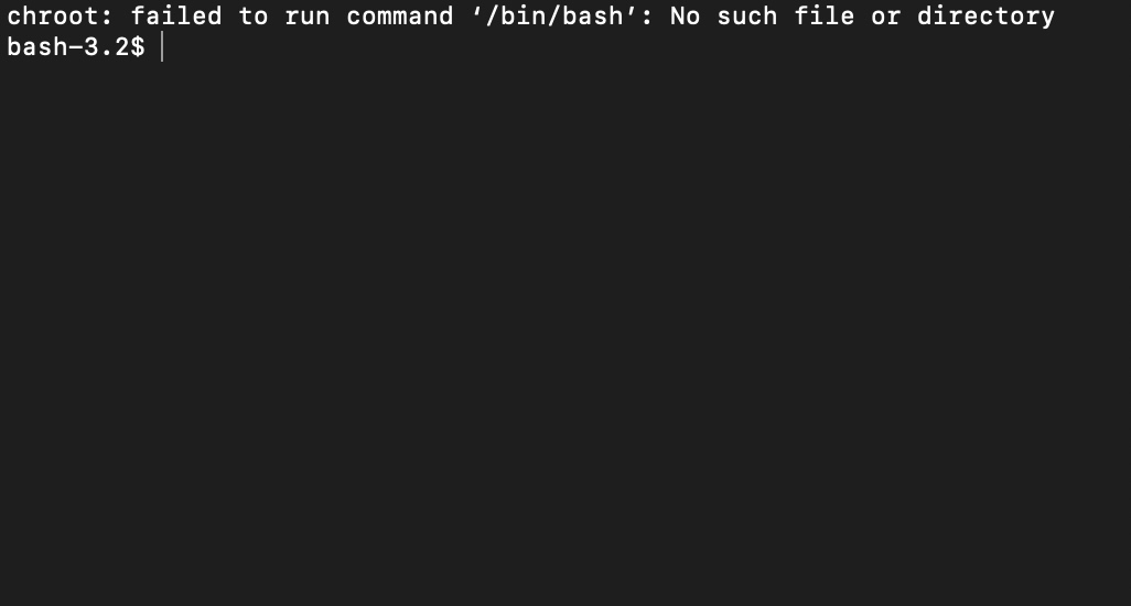 chroot- failed to run command :bin:bash - No such file or directory